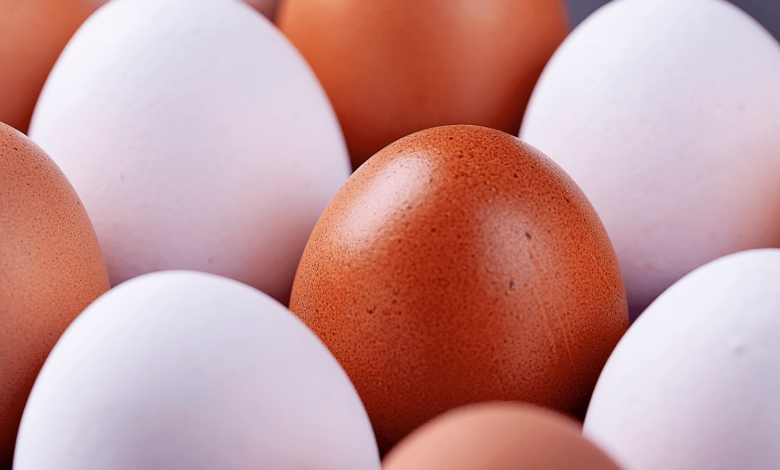 هل البيض البني أفضل للصحة من الأبيض؟