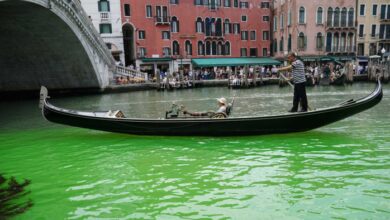 مياه قناة في فينيسيا تصطبغ باللون الأخضر.. والسبب مجهول