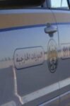دوريات