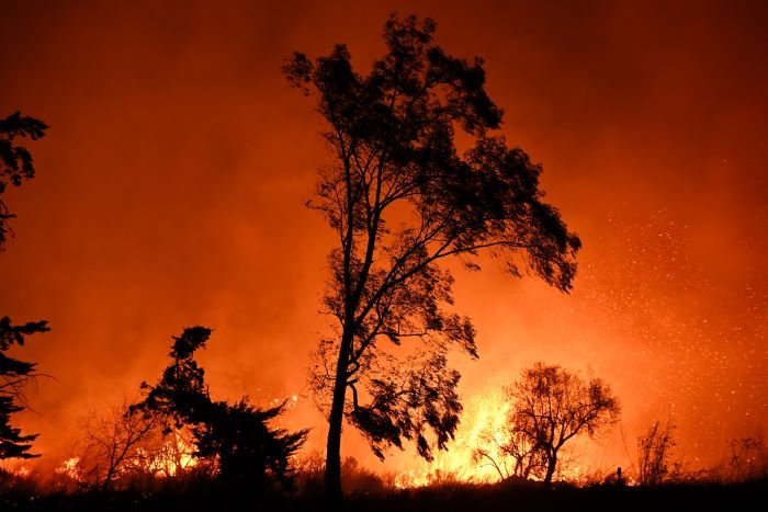 Aa 20250114 36737992 36737985 Los Angeles Fire Brush Fire In Ventura California.jpg Fb121e1b 10b8 498a B7c0 792730d4a733