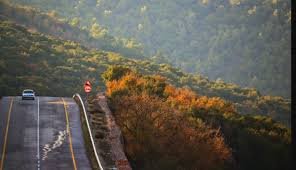 Images (7) (3)